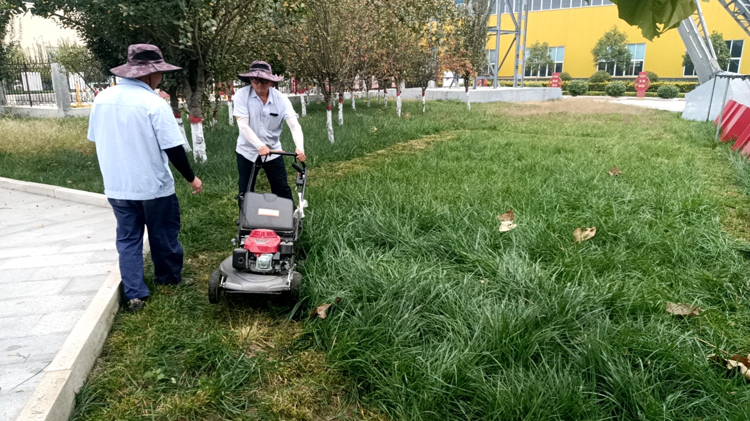 16be36fe9738ba6b216b679d13b5dfa